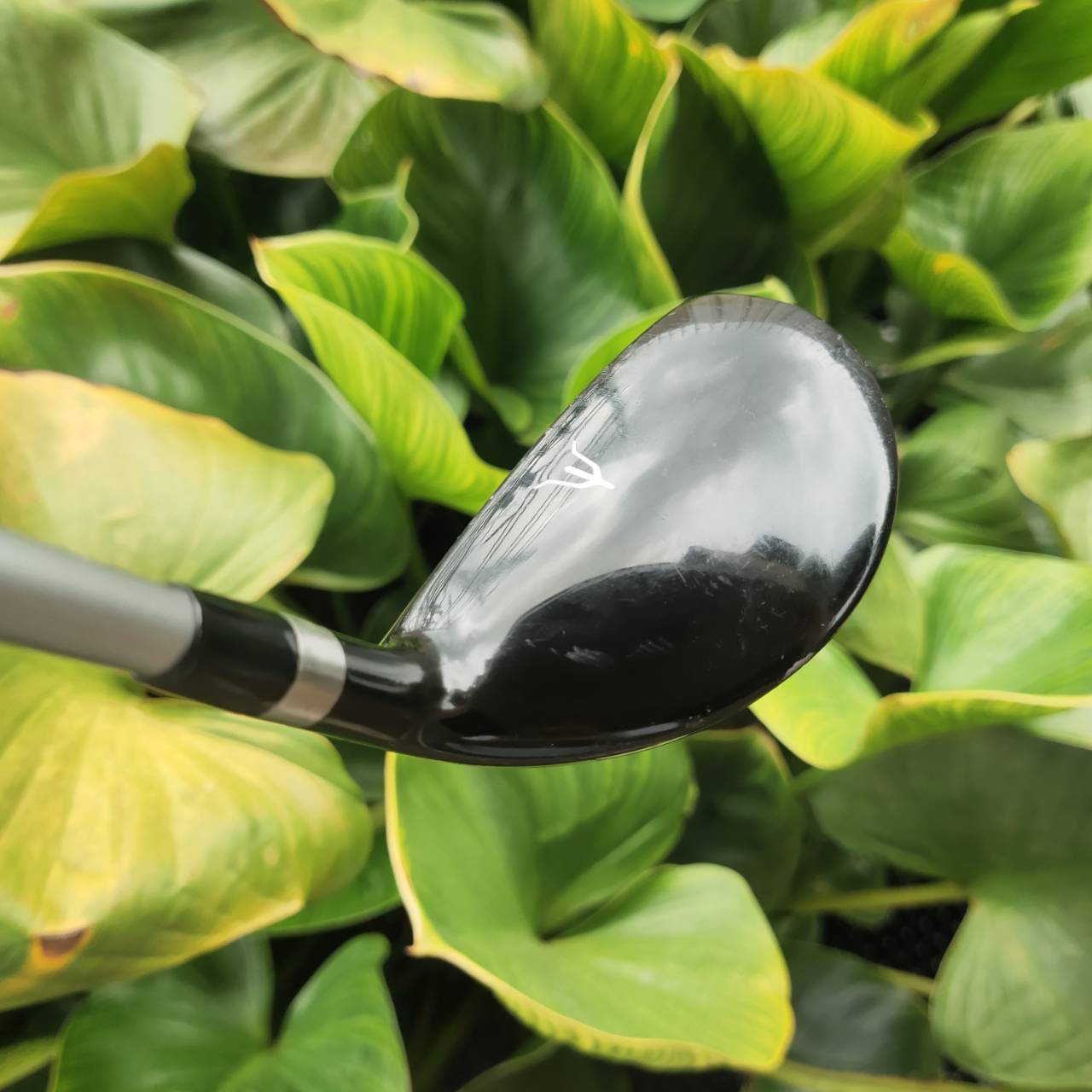 U5 MIZUNO RV-03 Loft 28 หน้าไม้บาง Ball Speed ดี ลูกพุ่ง สปินต่ำ