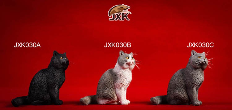 [สั่งจอง] JxK.Studio 1/6 Jxk029/ Jxk030 A/B/C/D -Ragdoll / British Shorthair Cat