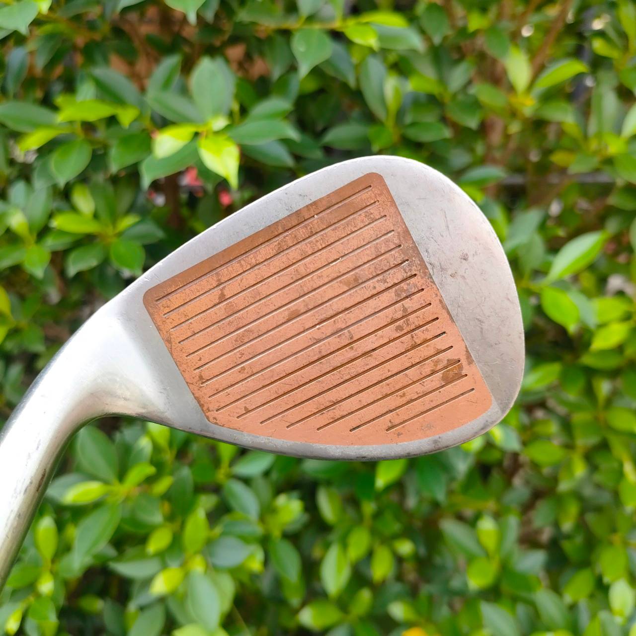 WEDGE SYSTEM BACK SPIN FORGED COPPER BY DON'S องศา 52 ก้าน FLEX R เนื้อเหล็ก FORGED หน้าทองแดง