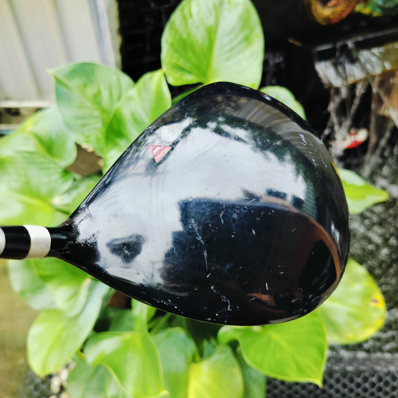 Driver PGM VICTOR องศา 10.5 ก้าน VICTOR FLEX MID FIRM หรือ SR หัวใหญ่ 460 CC วัสดุไทเทเนี่ยม ตีง่ายๆค่ะ ไม้กอล์ฟพรีเมี่ยมญี่ปุ่นมือสอง ของแท้ By NakaraLuxurious