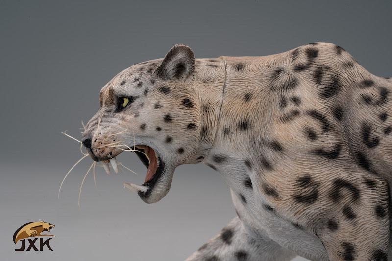 [สั่งจอง] JXK 1/12 The leopard /animal model JxK021