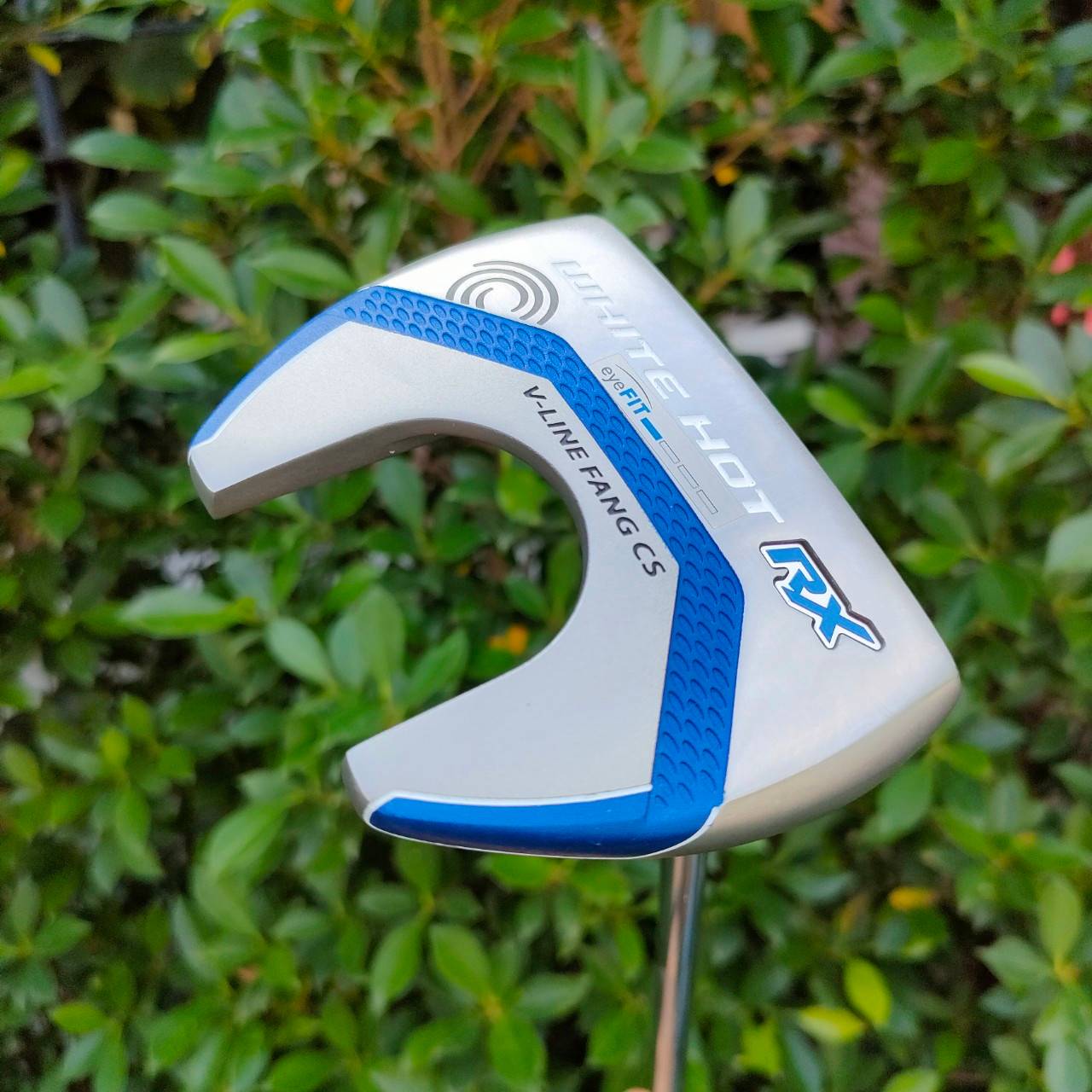 PUTTER ODYSSEY WHITE HOT RX V-LINE FANG CS ก้าน ODYSSEY PUTTER IN GOLF ความยาว 34 นิ้ว