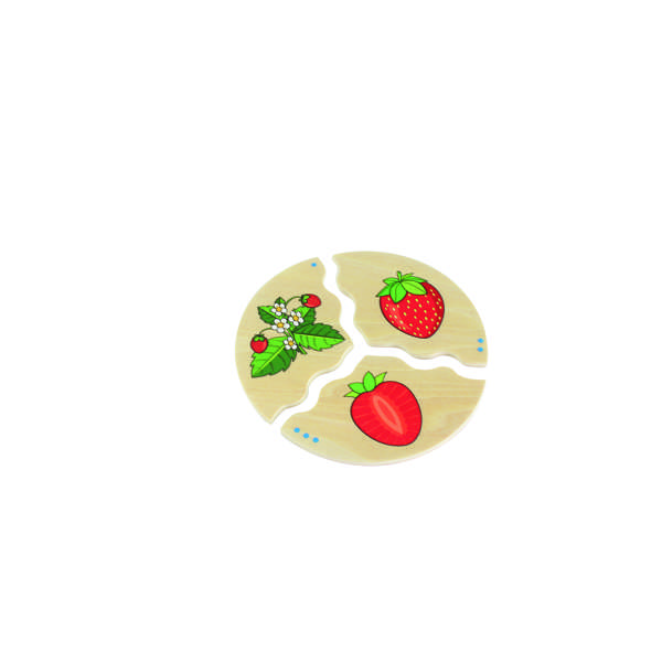 เกมปริศนาการเจริญเติบโตของผลไม้ , ของเล่นไม้, ของเล่นเสริมพัฒนาการ, ของเล่นเด็กอนุบาล, สื่อการสอนเด็กอนุบาล วัสดุและสี ปลอดภัยต่อเด็ก มีมาตรฐาน มอก. ตามที่ สพฐ. กำหนด