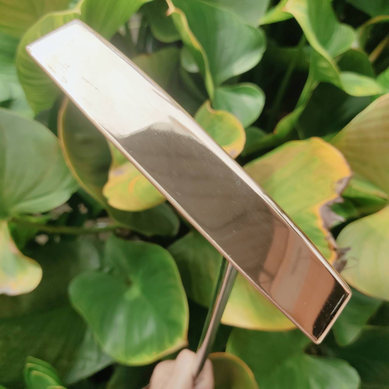 PUTTER PING PAL 6 – BECU (Beryllium Copper) ผลิตจากทองแดงแท้ทั้งชิ้น!