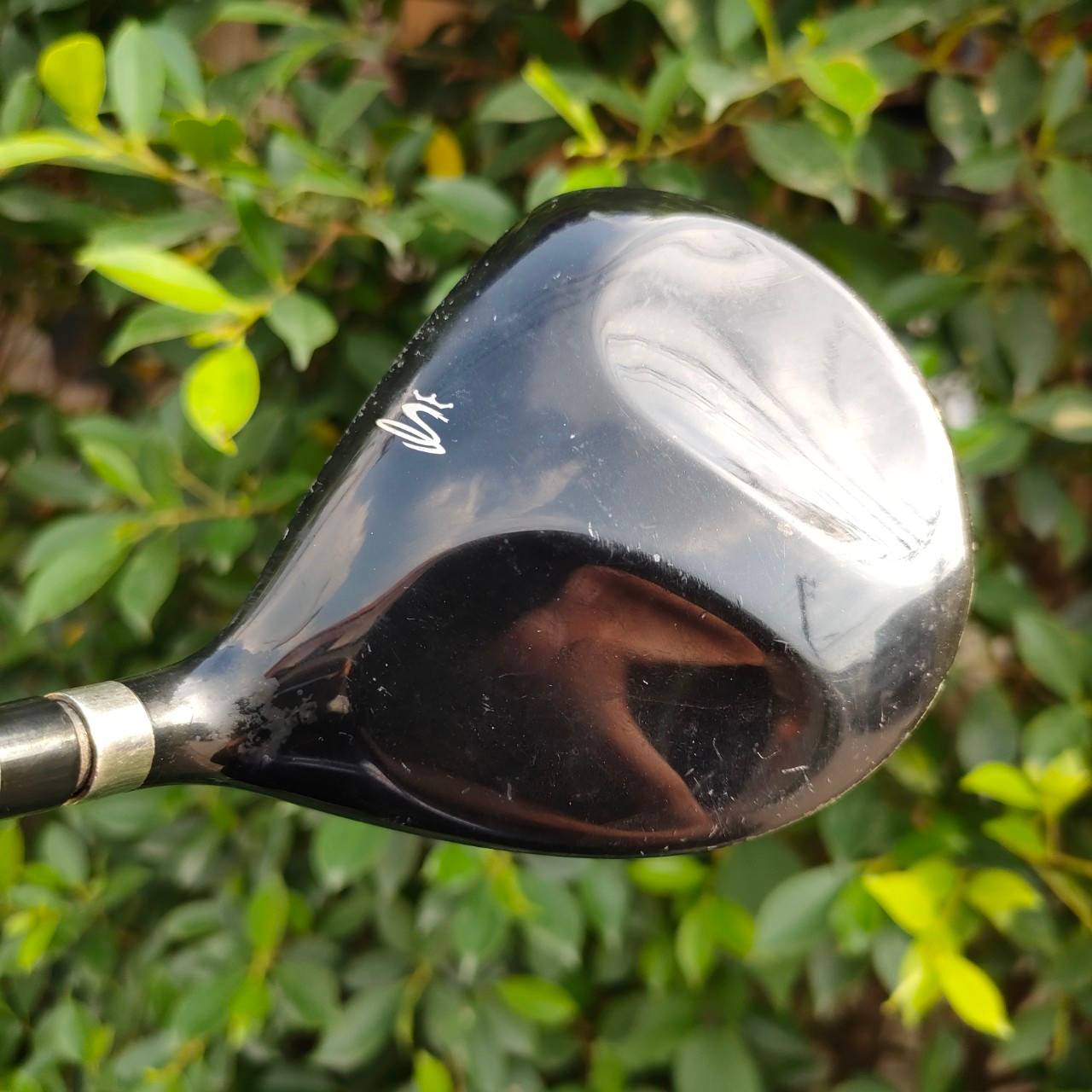 FW5 KING COBRA SPEED LD OFFSET M/ST ก้าน ALDILA NVS FLEX R ทรงช่วยให้ลูกลอยง่าย เสียงกิ๊งแน่นๆ ก้านดีมากๆครับผม