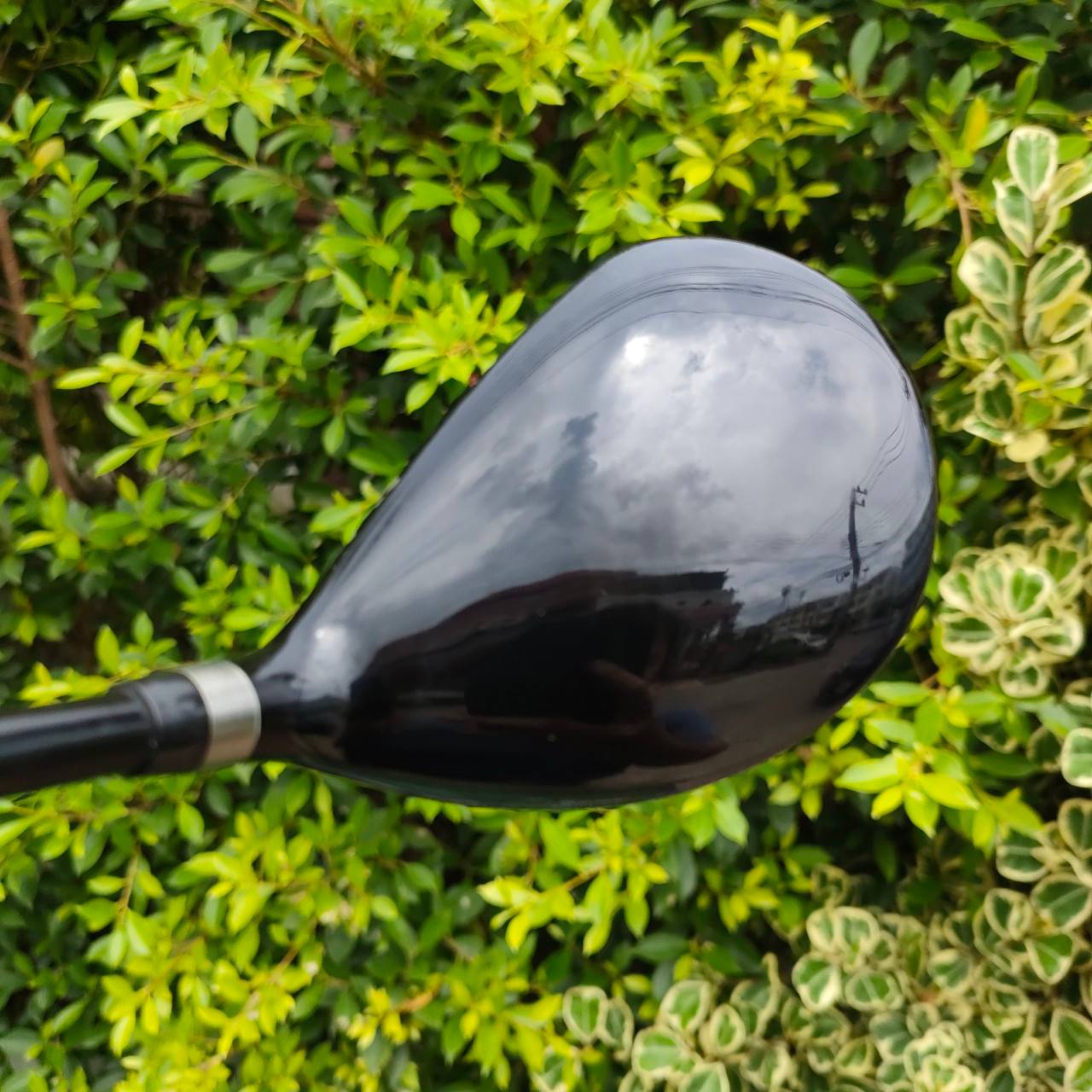 FW5 CLEVELAND LAUNCHER COMP องศา 19 กระดองคอมโพสิท ก้าน LAUNCHER FLEX S มาพร้อม COVER เดิม สภาพสวยจัด CG ต่ำมากเพราะกระดองเป็นเคฟล่า ทำให้ตีลูกลอยได้ง่ายที่สุด และ ตีไกลมากๆ กระดองเด้ง ราคาหวานมาก!!!