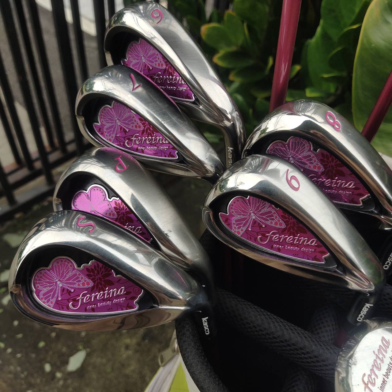 KASCO FEREINA ชุดไม้กอล์ฟระดับพรีเมียมสำหรับสุภาพสตรี เบา ตีง่าย ดีไซน์สวยงามจากประเทศญี่ปุ่น