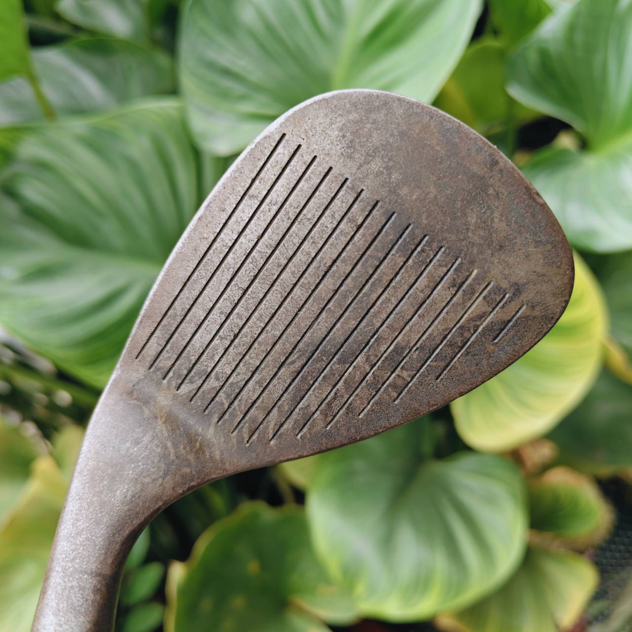 FOURTEEN MT-28A WEDGE องศา 52 รุ่นสนิมแท้ ที่ฟีลลิ่งและสปินคือจิตวิญญาณของนักกอล์ฟตัวจริง