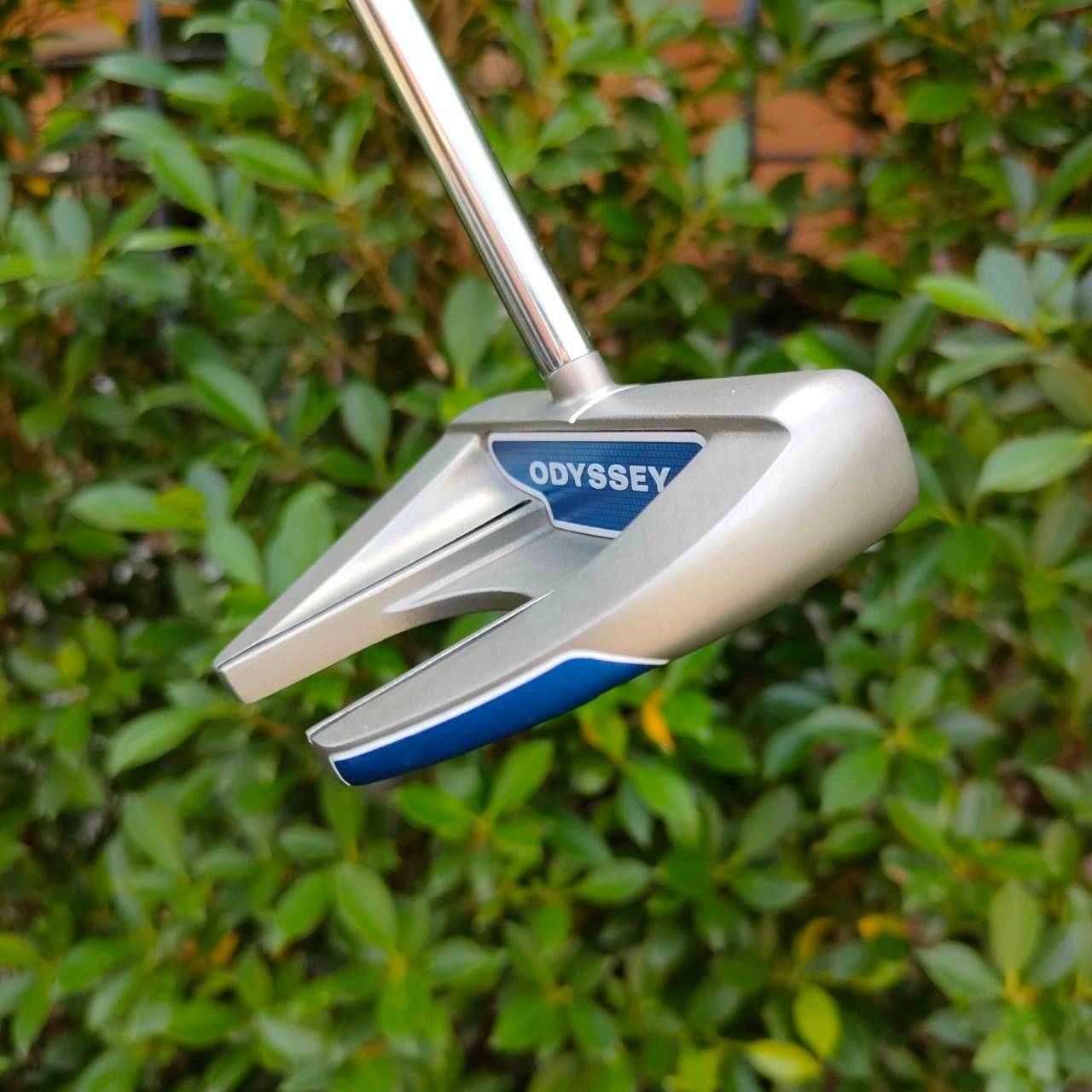 PUTTER ODYSSEY WHITE HOT RX V-LINE FANG CS ก้าน ODYSSEY PUTTER IN GOLF ความยาว 34 นิ้ว