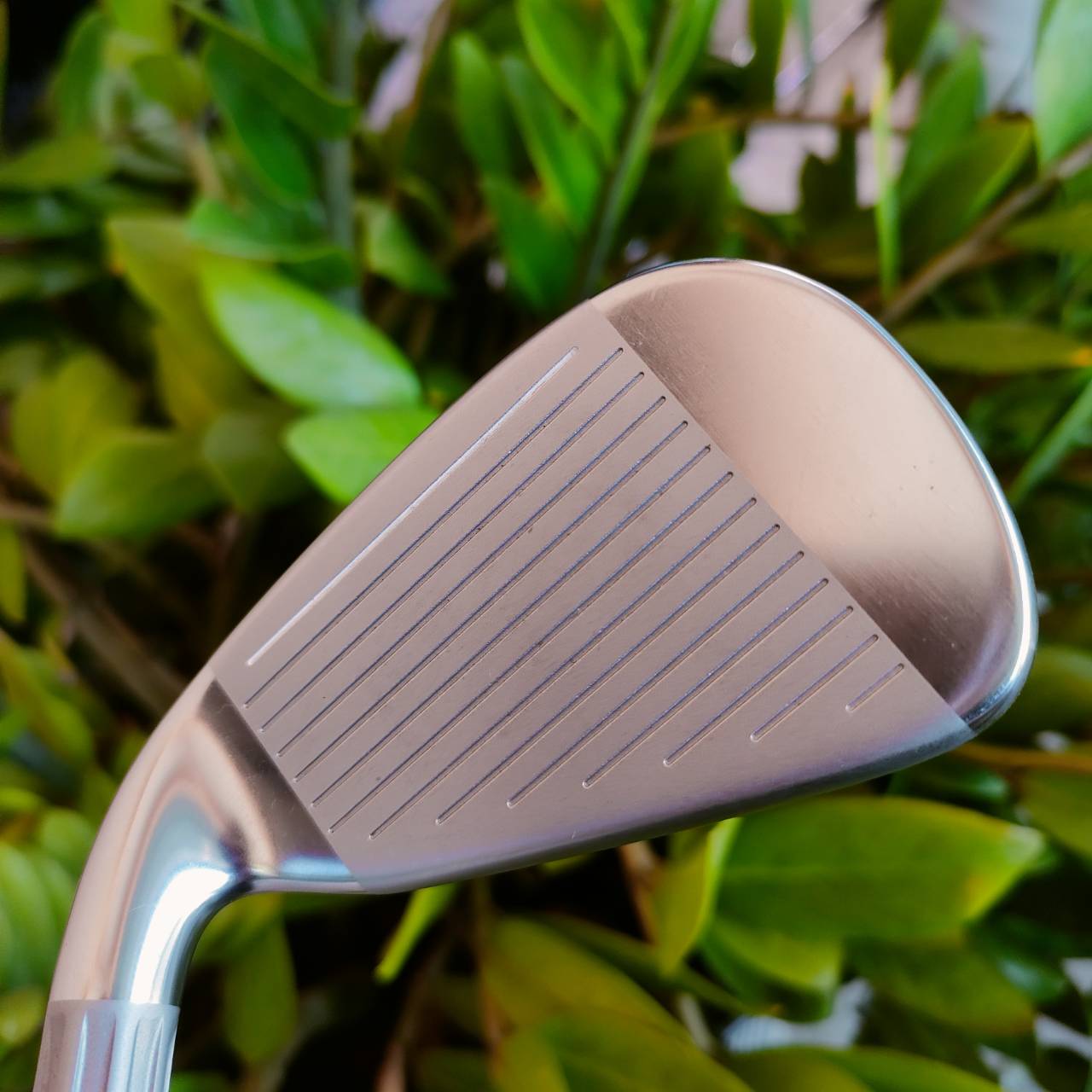 ** ไม้กอล์ฟสำหรับผู้หญิง ** ชุดเหล็ก Taylormade M2 ก้าน TM7-316 FLEX LADY ก้านเบามาก ตีสบาย สปีดน้อย ก็สามารถตีได้ระยะ เร่งสปีดได้ดี สภาพสวย กริพสวยเดิมทุกอย่าง ไม้กอล์ฟพรีเมี่ยมมือสอง ของแท้ By NakaraLuxurious