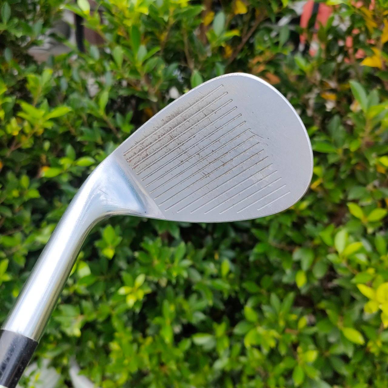 WEDGE HONMA TOUR WORLD PREMIUM FORGEDJAPAN องศา 60 BOUNCE 08