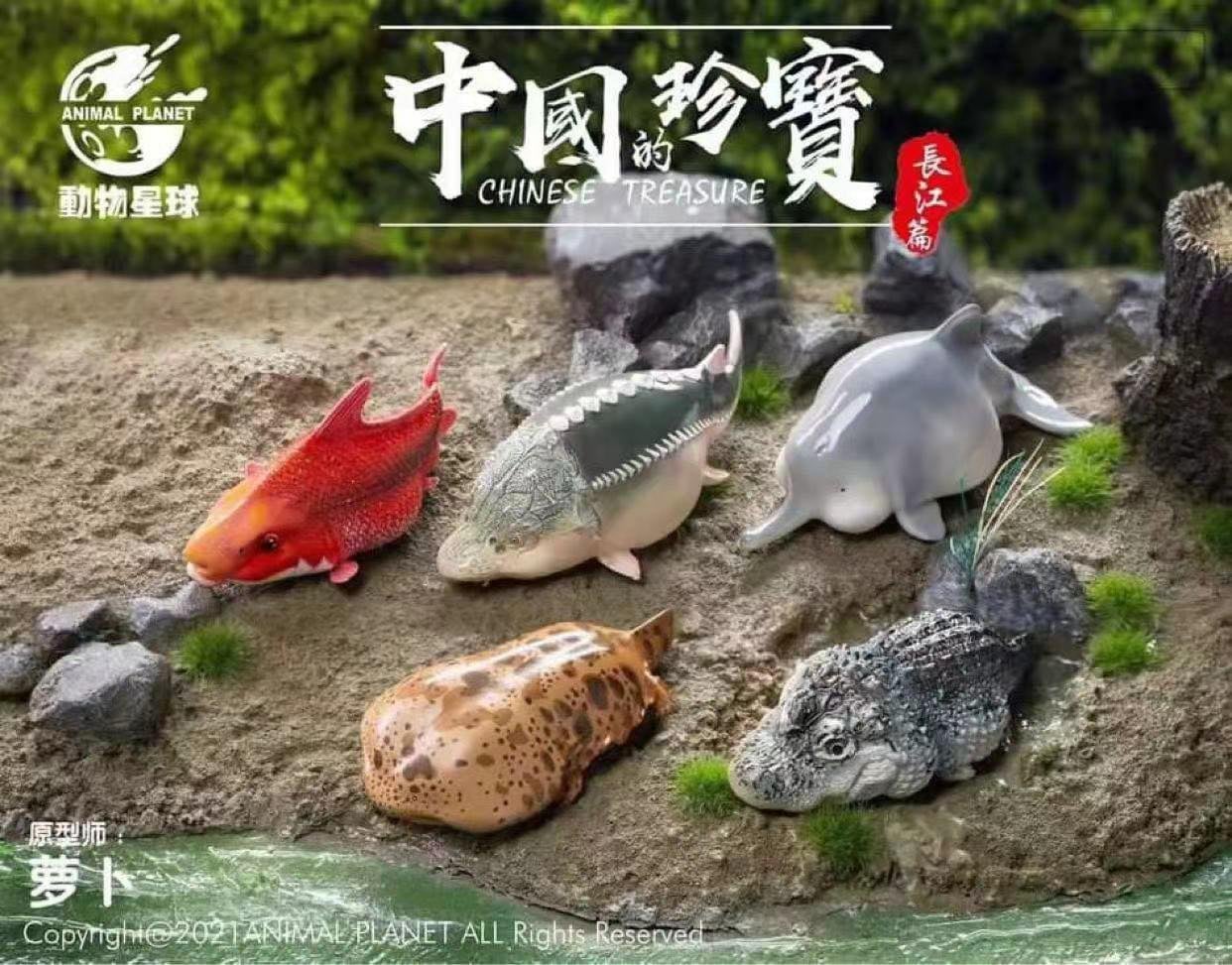 [สั่งจอง]Animal Planet : Chinese Treasure