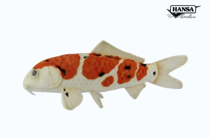 8280 Sanke Koi 52cm.L
