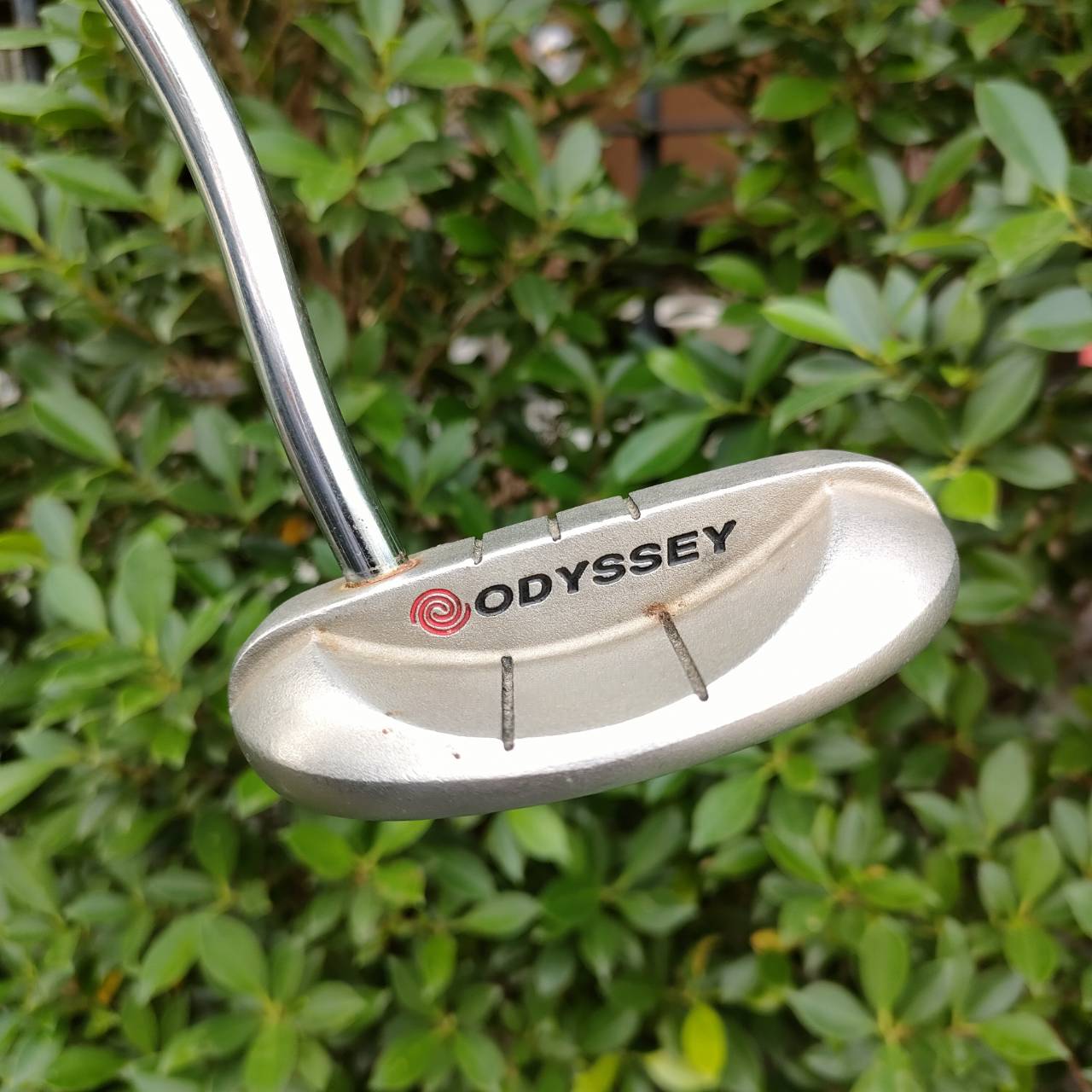PUTTER ODYSSEY DUAL FORCE ROSSIE II USA ความยาว 34 นิ้ว หน้าดำ นุ่มหนึบ เกาะไลน์ ทองมอลเล็ต พัตต์ง่าย เล็งง่ายมากๆ