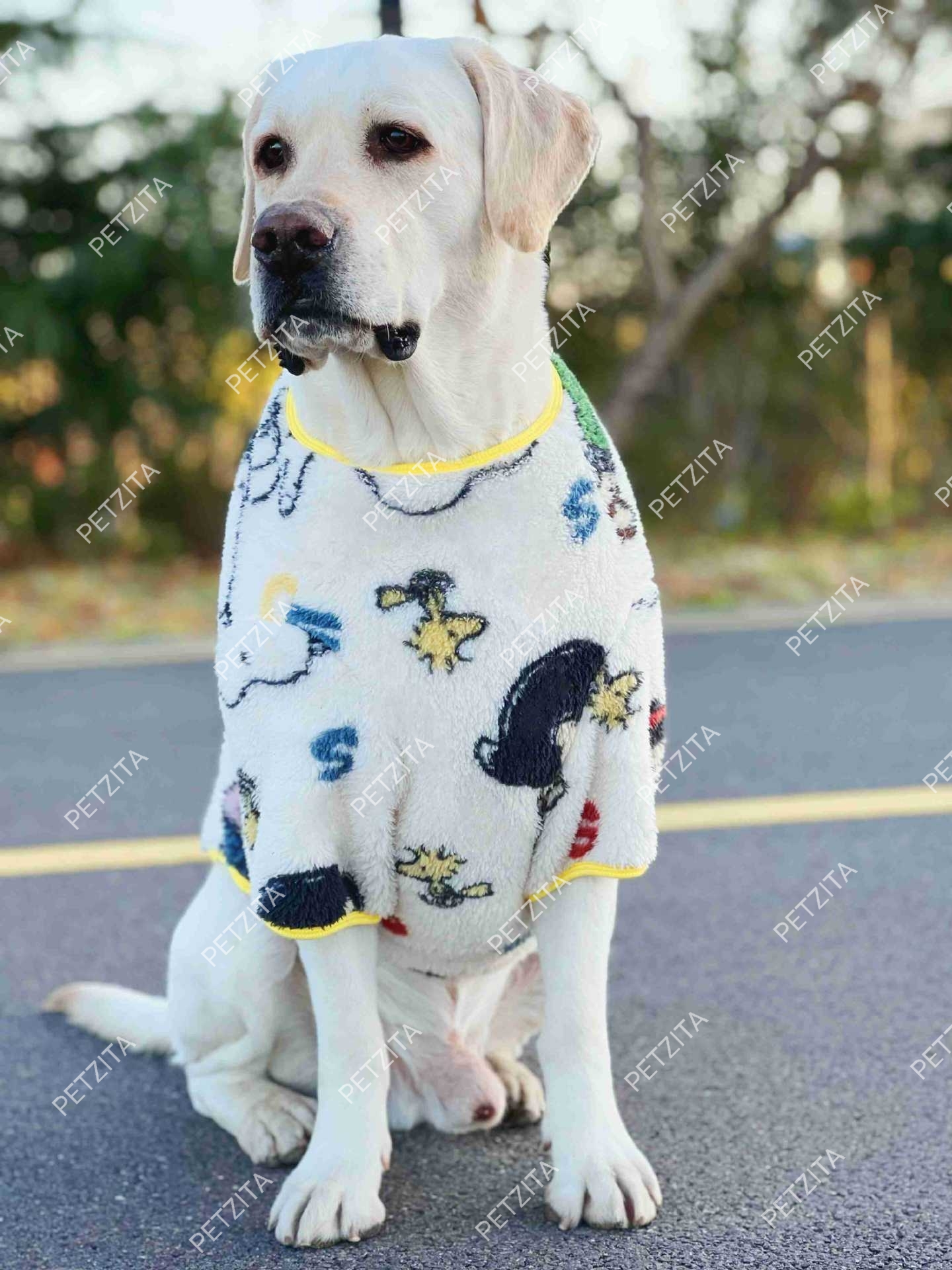 🇹🇭พร้อมส่ง🇹🇭 🐶🐕 เสื้อผ้าสำลีขนปุยนุ่มนิ่ม สำหรับ สุนัขพันธุ์กลาง ถึง หมาใหญ่