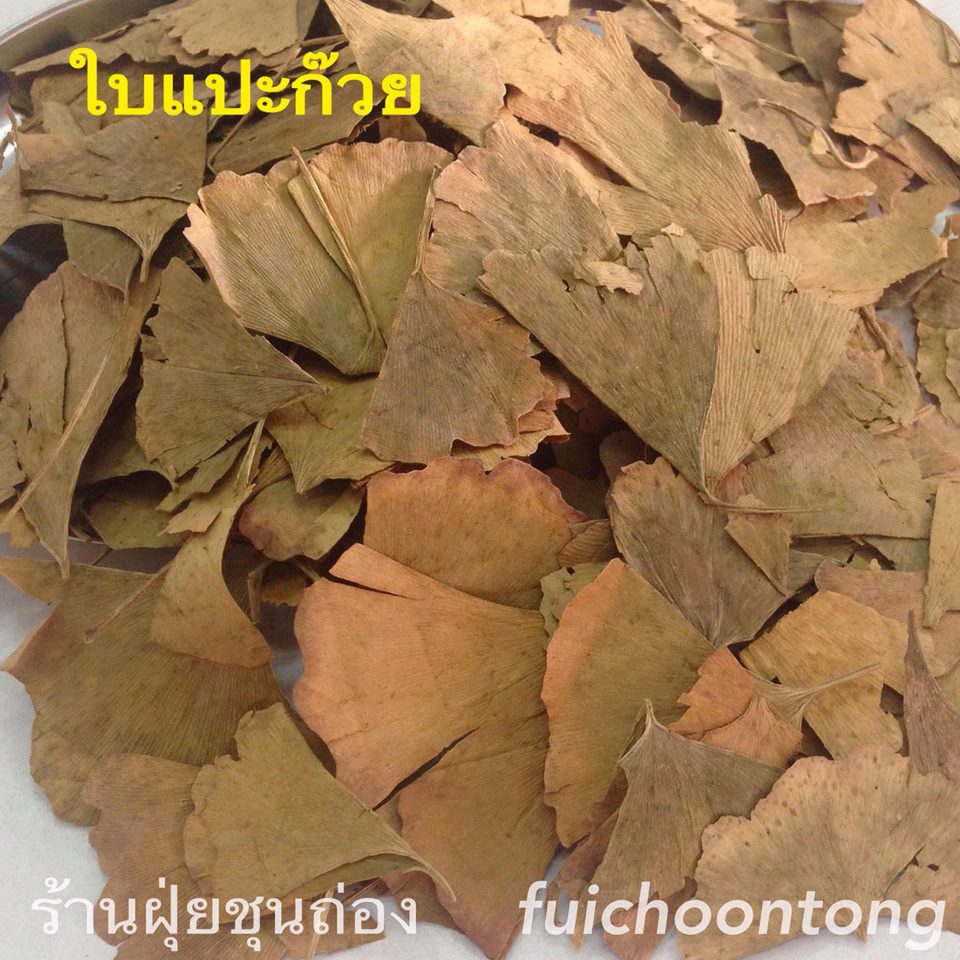 ใบแปะก๊วย