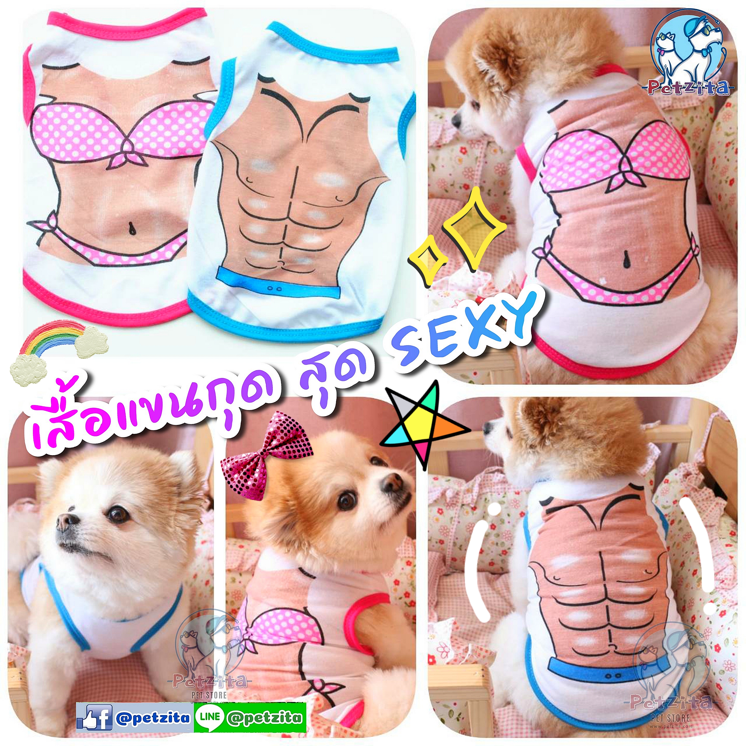 🇹🇭พร้อมส่ง🇹🇭👙🩲⛱ เสื้อแขนกุด สุด SEXY ลาย บิกินี่ & ซิกแพ็ค 🌈 เสื้อสุนัข หมา ชุดแมว