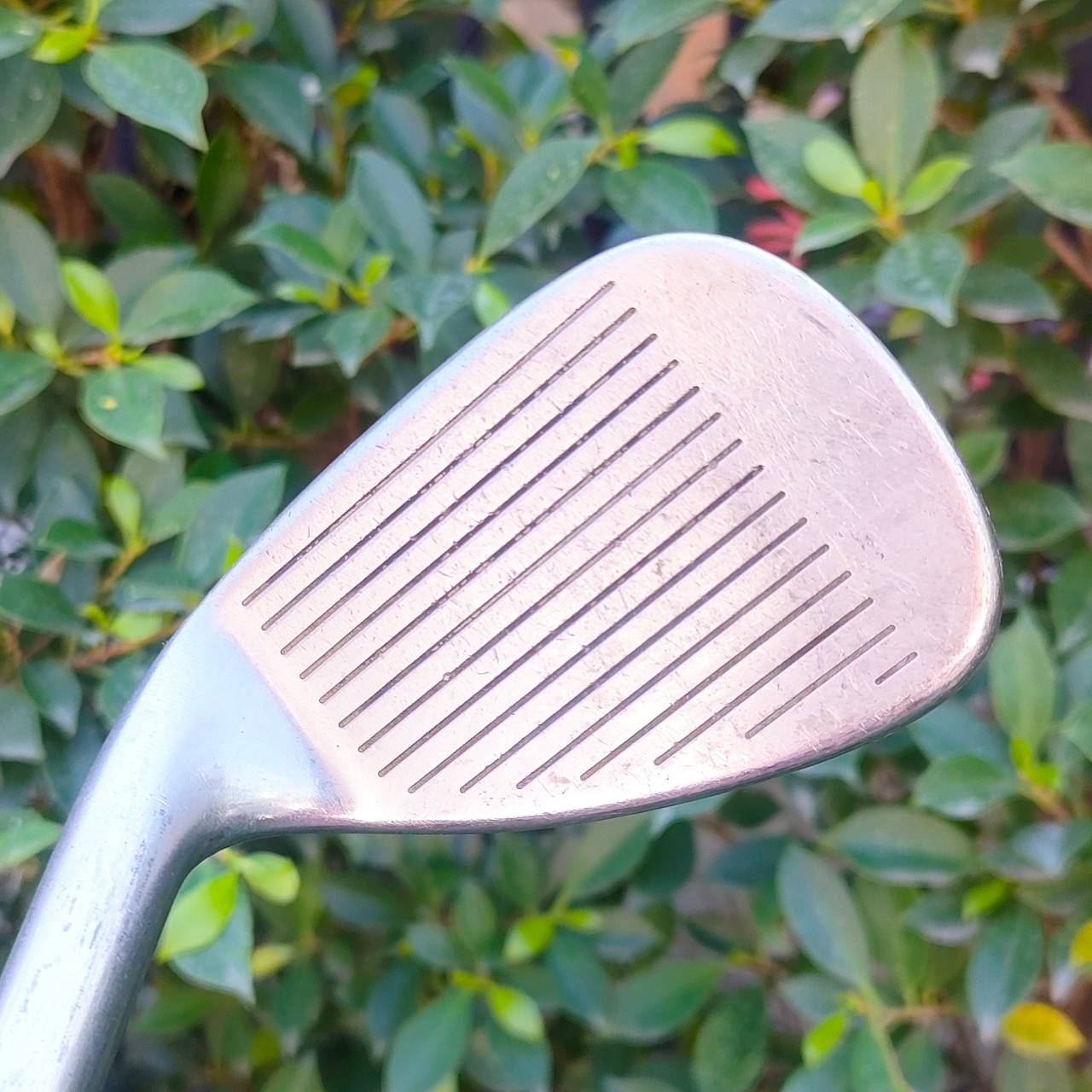 ชุดเหล็ก TITLELIST DCI 981 มีเหล็ก 4-9 เเละ PW SW ก้าน FCM 5.5 ไลเฟิล ตีมันส์สุดๆ รุ่นยอดนิยม