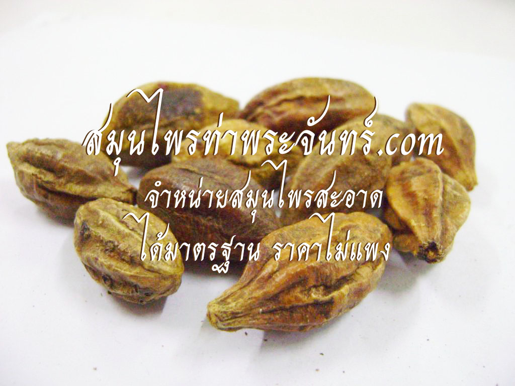 สมอเทศแห้ง ( 500กรัม - 1กิโล ) / ( 500g - 1kg ) สมุนไพรท่าพระจันทร์