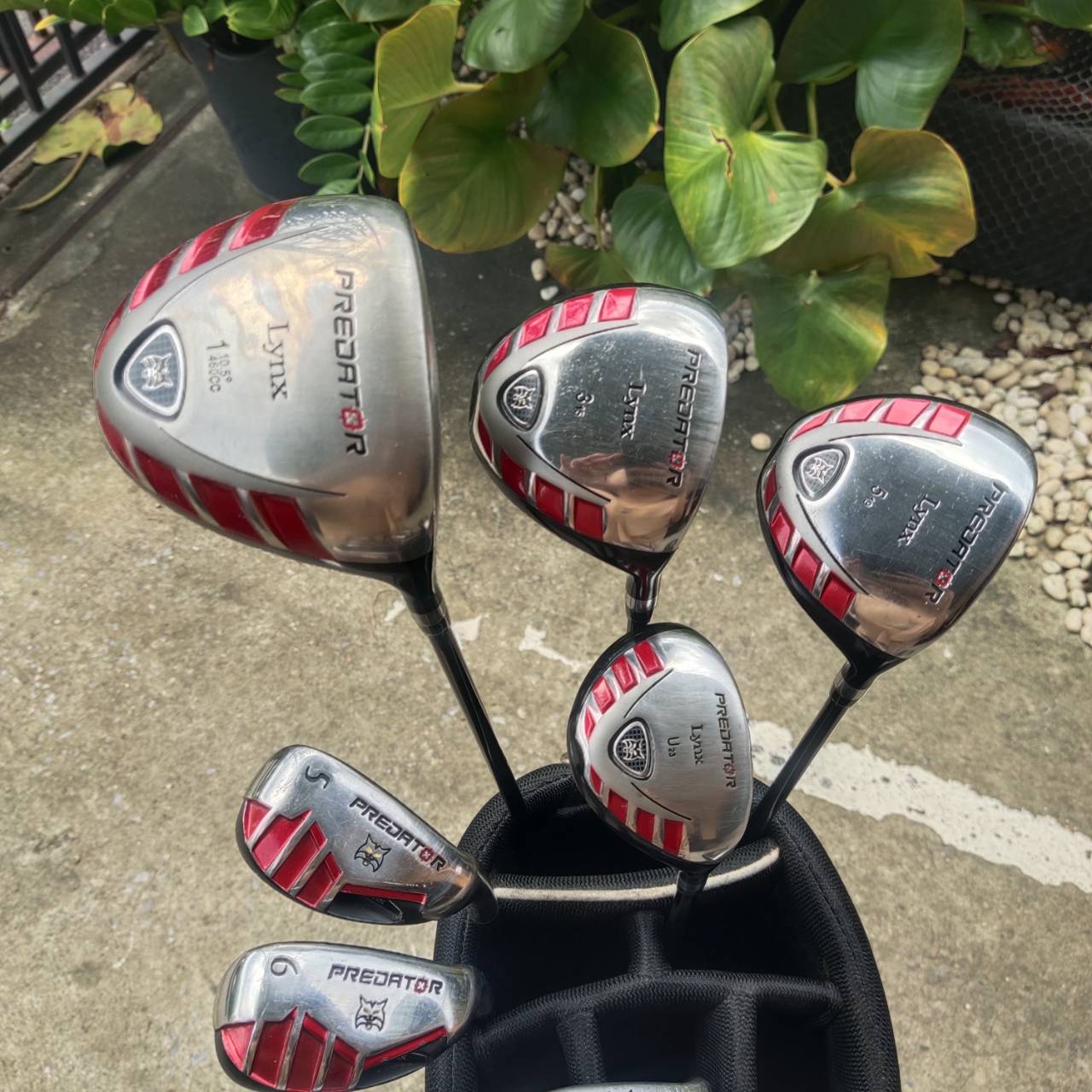 FULL SET LYNX PREDATOR ครบเซ็ต พร้อมเล่น! ครบชุดในทีเดียวจากแบรนด์คุณภาพ LYNX !!!