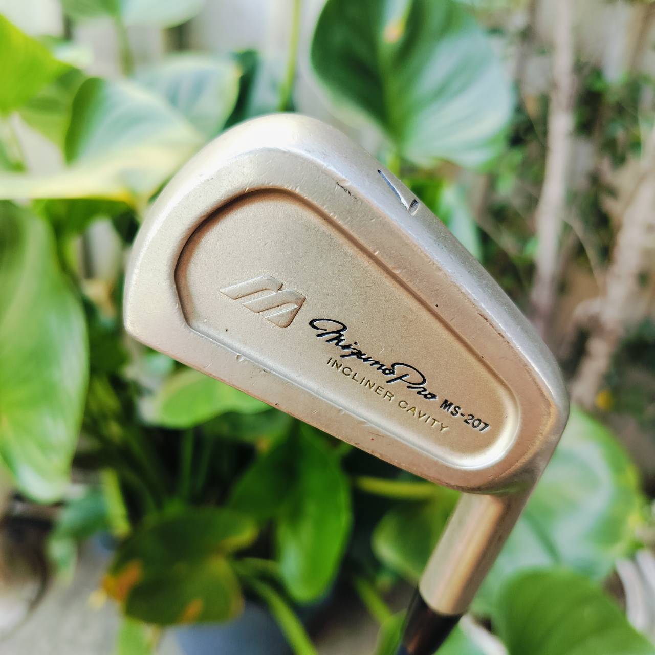 เหล็ก 7 MIZUNO PRO MS207 ก้าน TF - PRO FLEX 7 เป็นเหล็ก FORGED CAVITY ใบขนาดไม่ใหญ่ ตีง่าย ตีนุ่ม ไม้กอล์ฟพรีเมี่ยมมือสอง ของแท้ By NakaraLuxurious