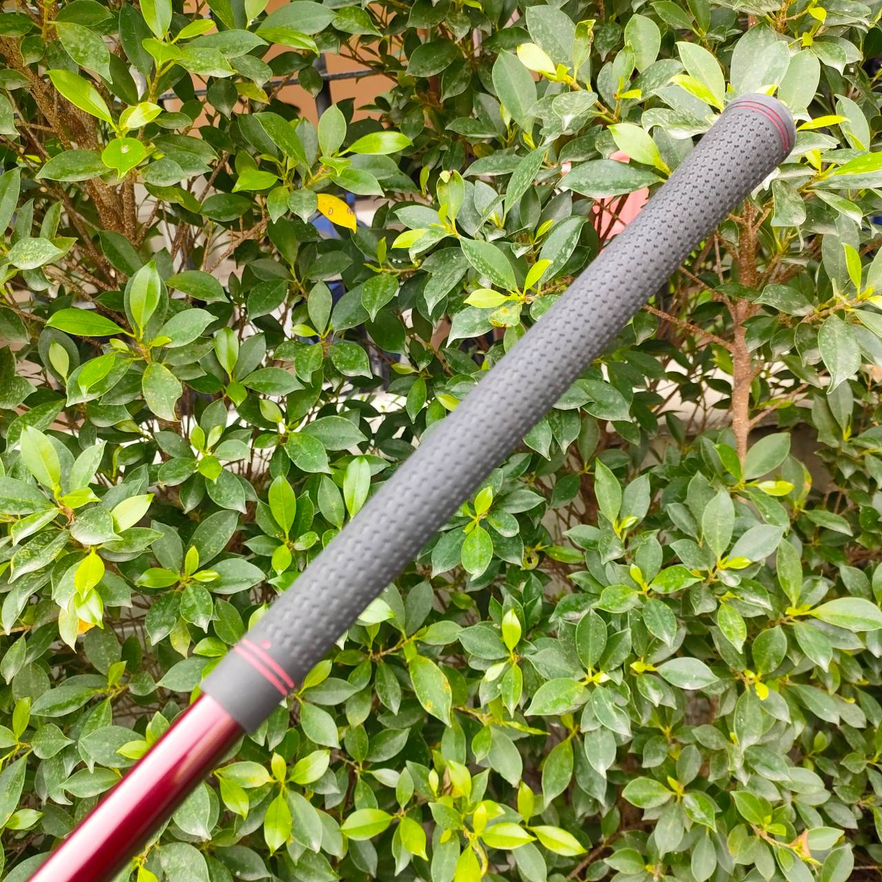 FW3 PRGR RS RED องศา 15 ก้าน FUJIKURA SPEEDER EVOLUTION FLEX R