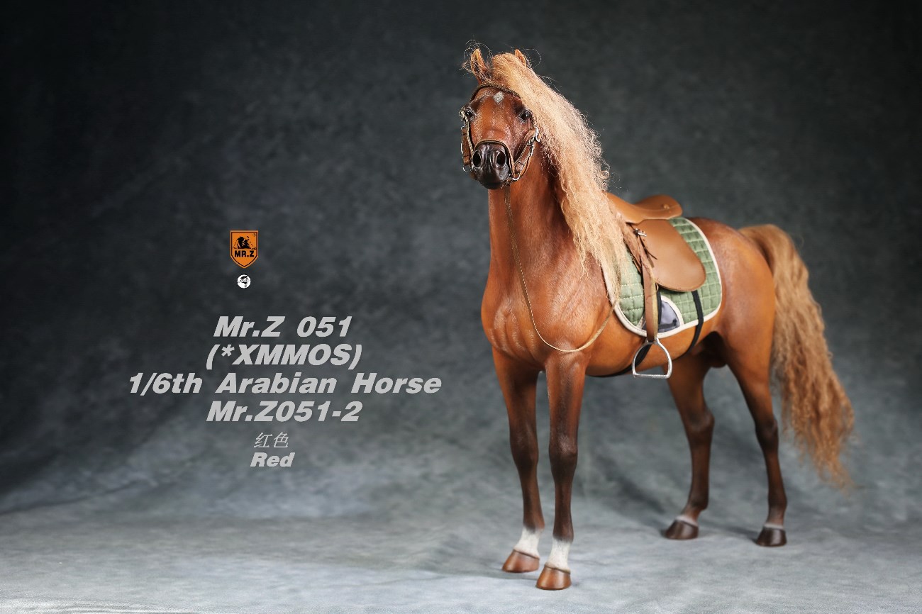 [สั่งจอง]Mr.Z MRZ051 1/6 animal model : Arabian Horse