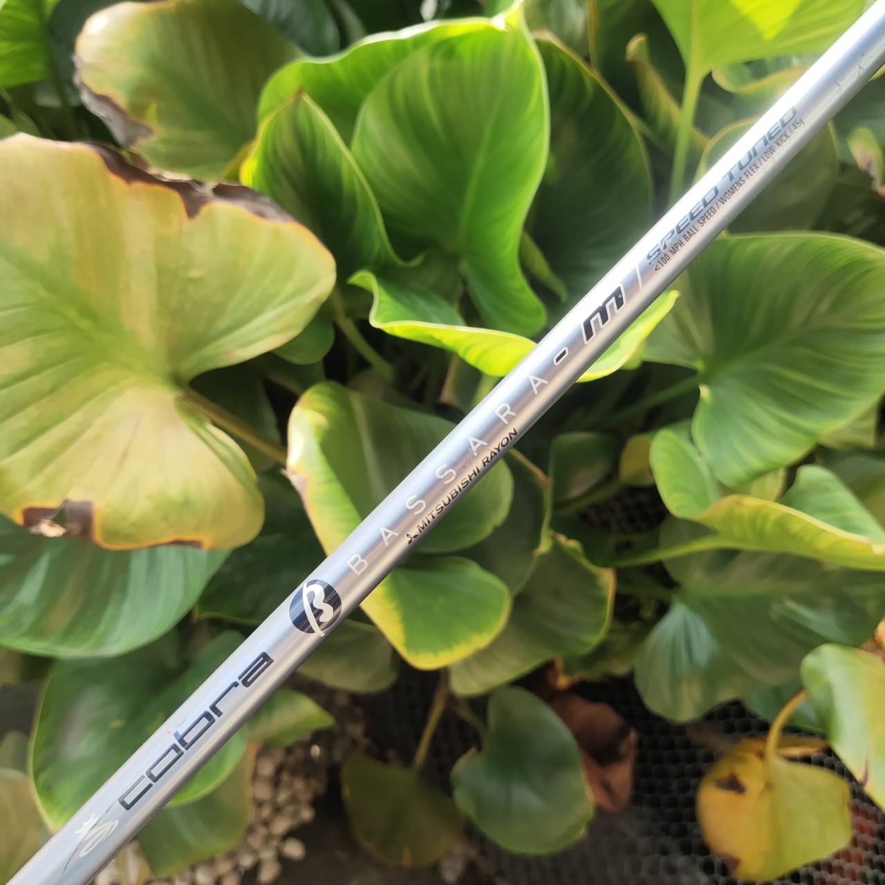 ไม้กอล์ฟผู้หญิง 5W - KING COBRA M/SPEED OFFSET หน้าเด้งมาก กระดองเด้งด้วย