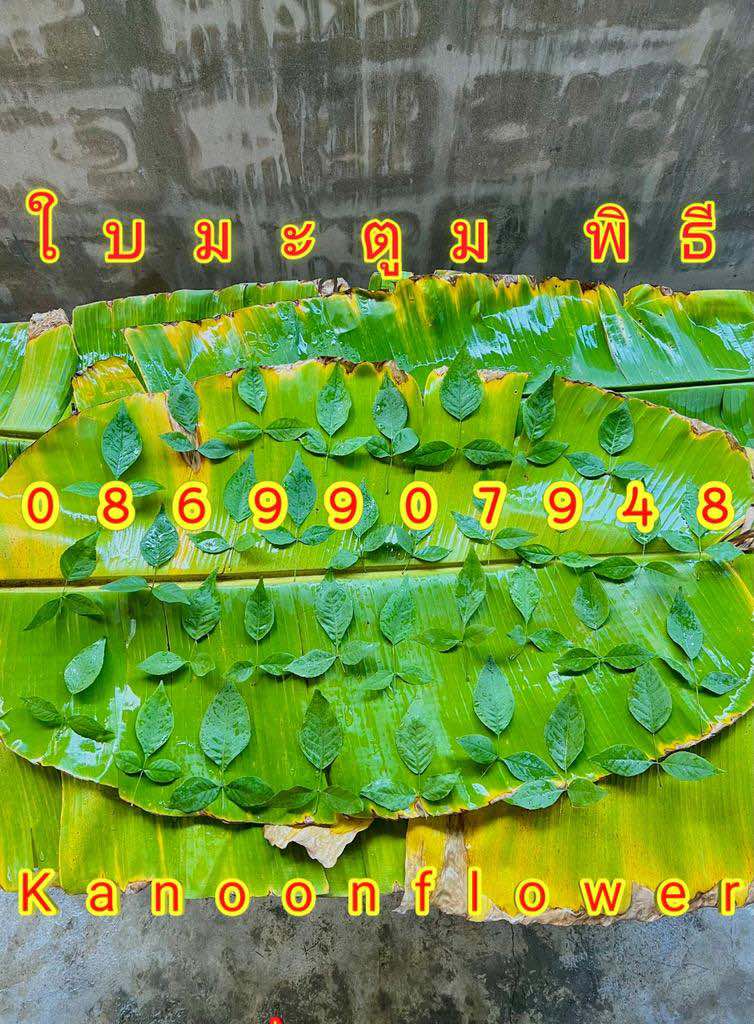 ใบไม้มงคลพิธี9อย่าง