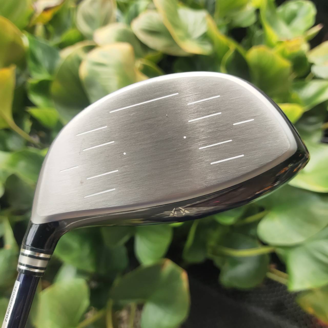 Driver XXIO10 องศา 10.5 ก้าน MP1000 FLEX R รางวัลอันดับ 1 ของประเทศญี่ปุ่นมาทุกสถาบัน!!!