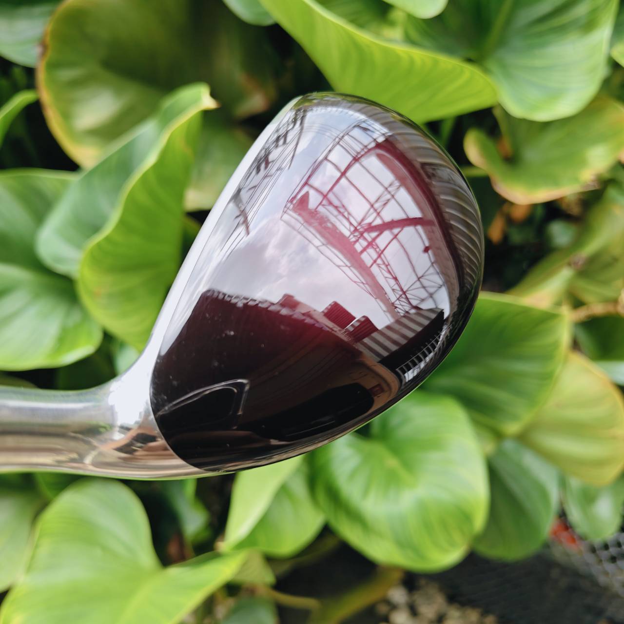 HYBRID Katana Sword SL-Eleven LADY #4 LADY สำหรับนักกอล์ฟผู้หญิงที่รักความแม่นยำและสไตล์ที่หรูหรา