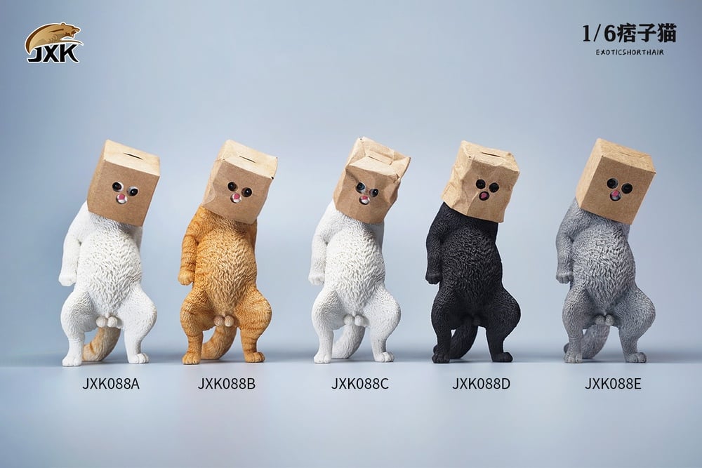 [สั่งจอง]JXK JXK088 1/6 : Exoticshorthair