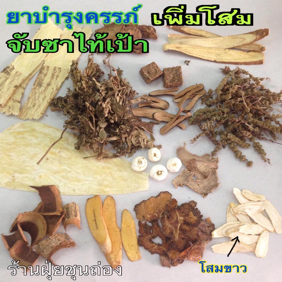 จับซาไท้เป้า สูตรเพิ่มโสม