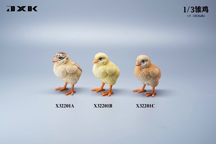 [สั่งจอง]JXK : Scottish Fold/Chckling/Duckling