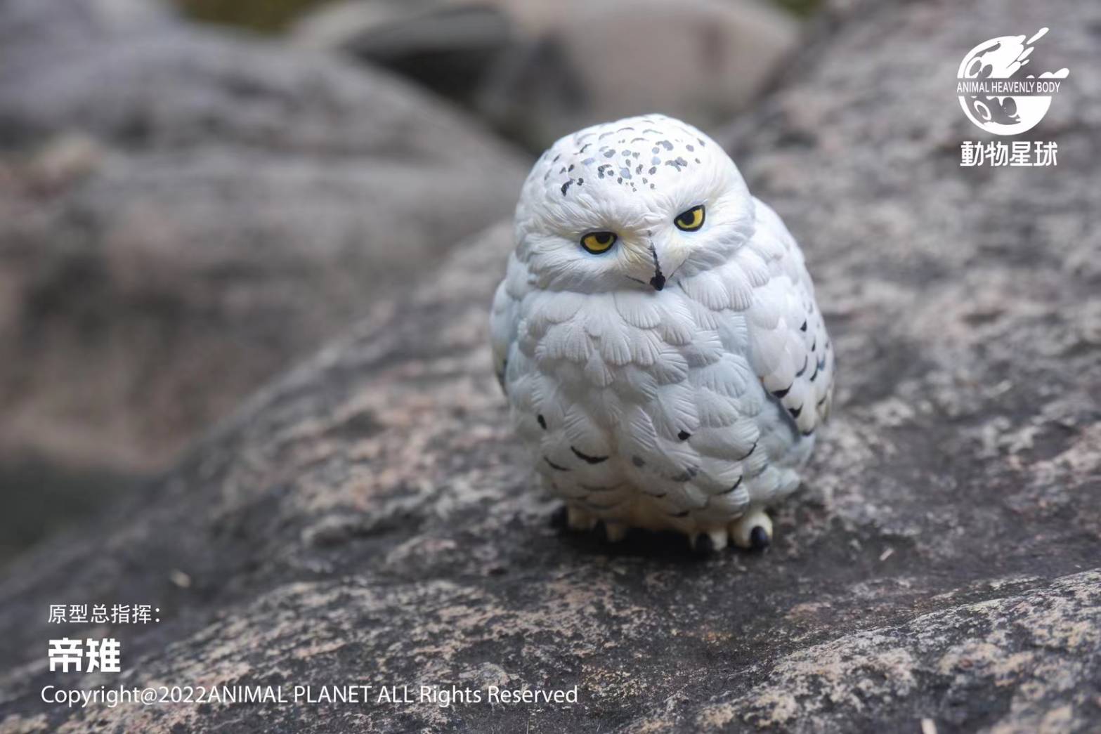 [สั่งจอง]Animal Planet : a series of laugh and grow fat No.10 -Bird