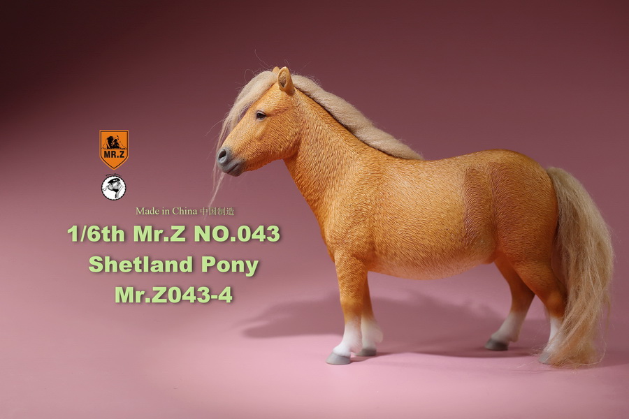 [สั่งจอง]น้องม้าน้อยโพนี่ 1/6 MR. Z Animal Model MRZ043 1/6th Shetland Pony(all 5 colors)