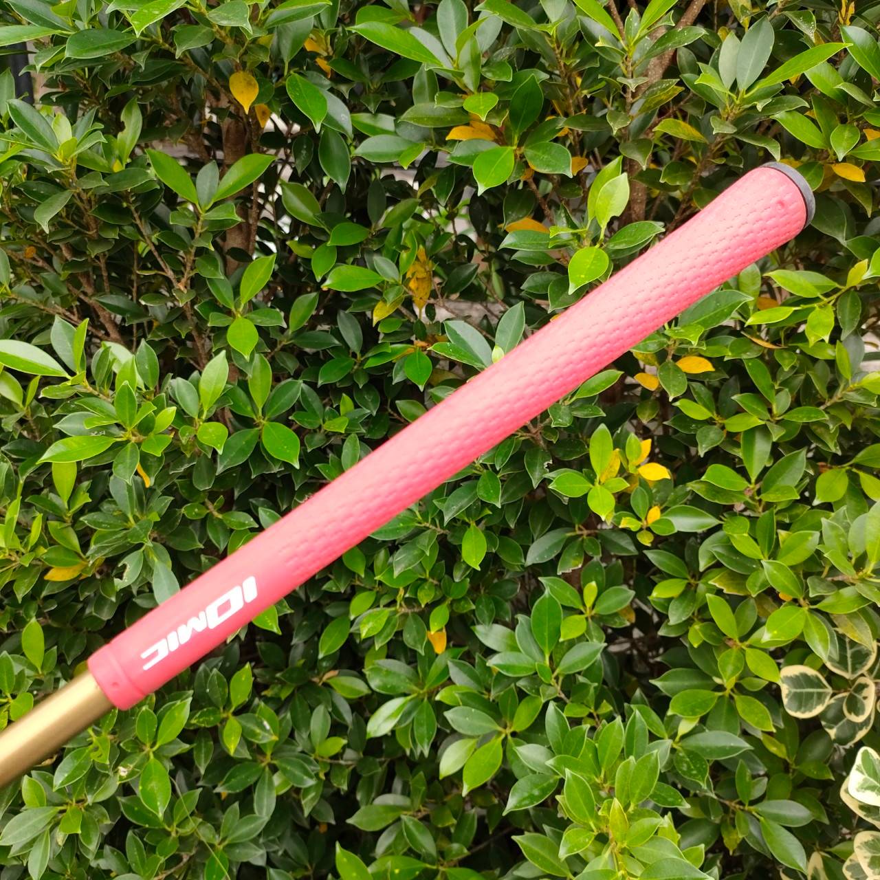 เหล็ก AW TSURUYA AXEL GOLD องศา 52 วัสดุสุดพรีเมี่ยม สีทองทั้งหัว ชิพนุ่ม ชิพง่าย ความรู้สึกพรีเมี่ยม