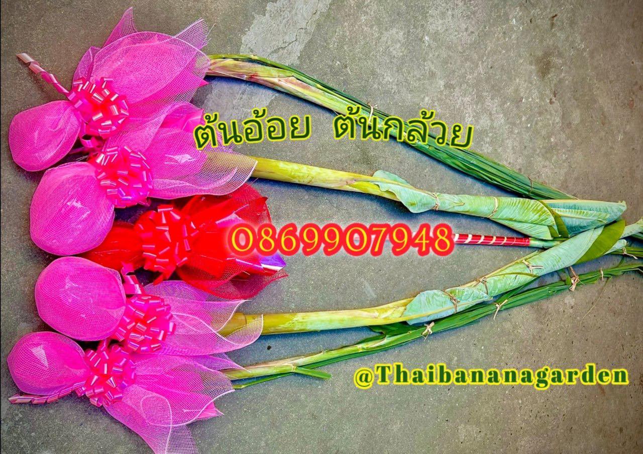 ต้นอ้อย ต้นกล้วย (ขันหมาก) (ทรงเครื่อง)