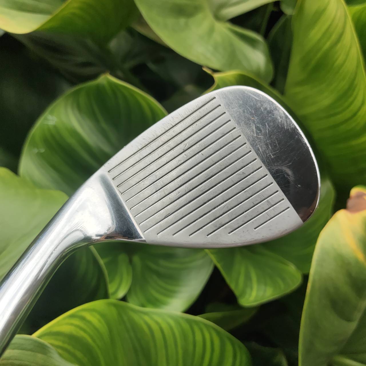 WEDGE CLEVELAND Cg12 องศา 56 ZIP GROOVE ร่องหน้าไม้สี่เหลี่ยม เหมือนกับซิป โหดมากสปินจัด