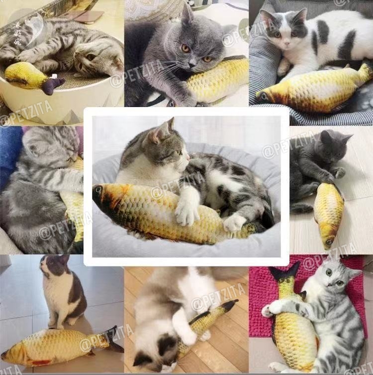 🇹🇭พร้อมส่ง🇹🇭 ตุ๊กตาปลาแคทปนิป 🐟🐠🦈 ยัดในผสมไส้แคทนิป หญ้ากัญชาแมว