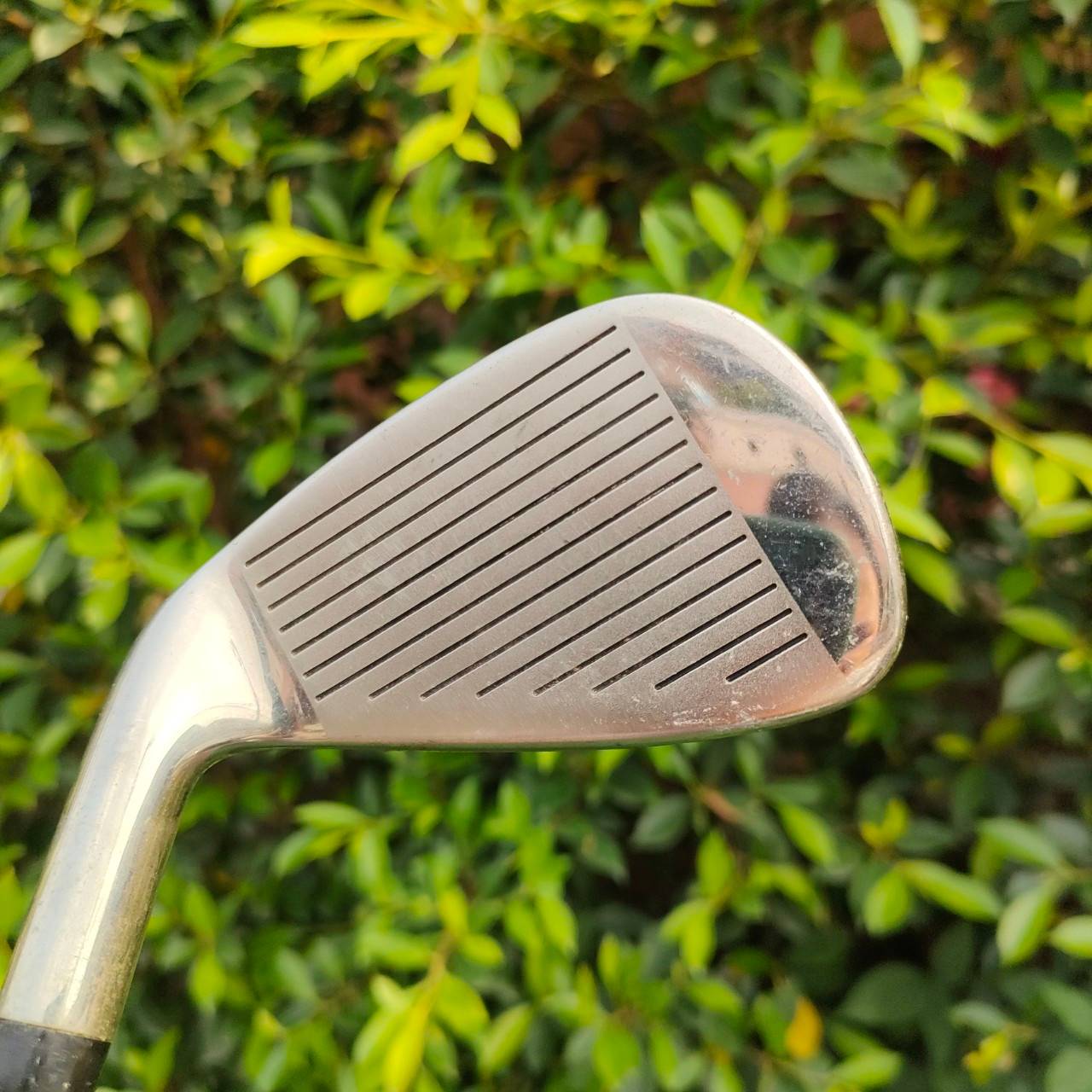 ** ไม้กอล์ฟสำหรับผู้หญิง ** ชุดเหล็ก X5 FORGED มีเหล็ก 4-9 เเละ PW SW ก้าน MEMORY ACTION FLEX L เหล็ก FORGED CAVITY ตีทั้งง่าย นุ่มพรีเมี่ยม รุ่นนี้ออกใหม่ 4 หมื่น บาท