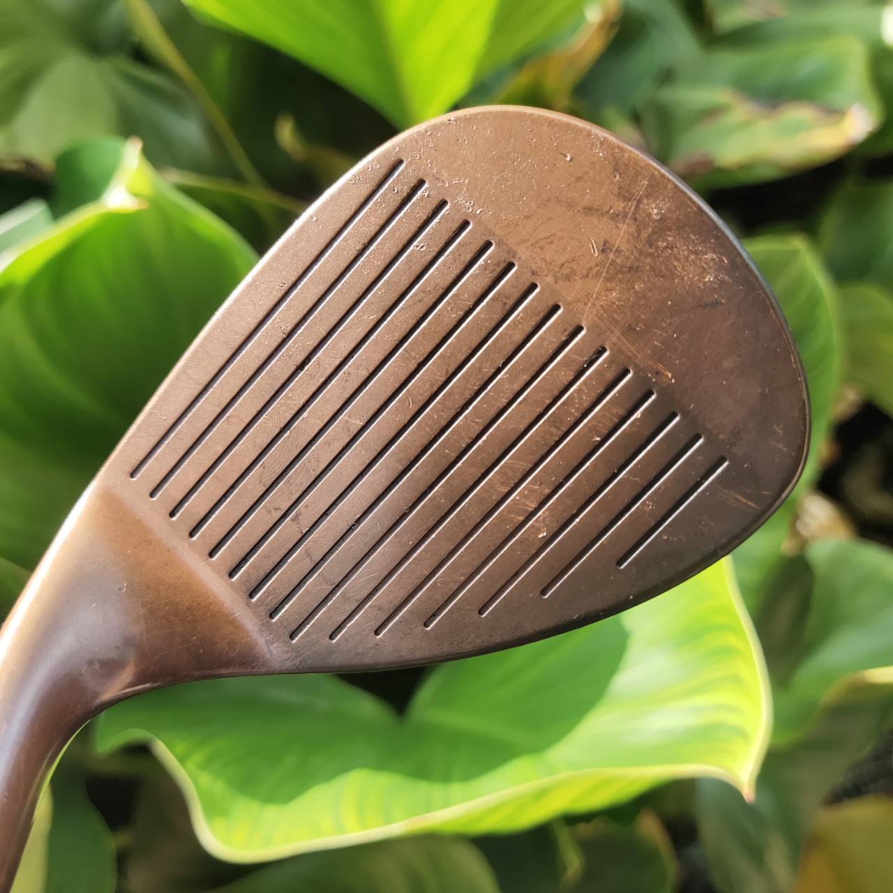 WEDGE EPON Beryllium Copper 56-12 – ระดับตำนาน ฟีลลิ่งสุดนุ่ม