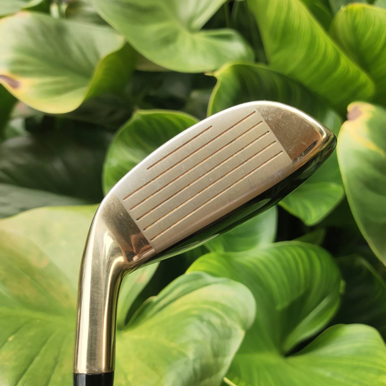 FW4 VOLTIO SNIPER V Series หน้าเด้งมาก!!! องศา 18 ระยะตีไกลกว่า FW5 ตีง่ายกว่า FW3