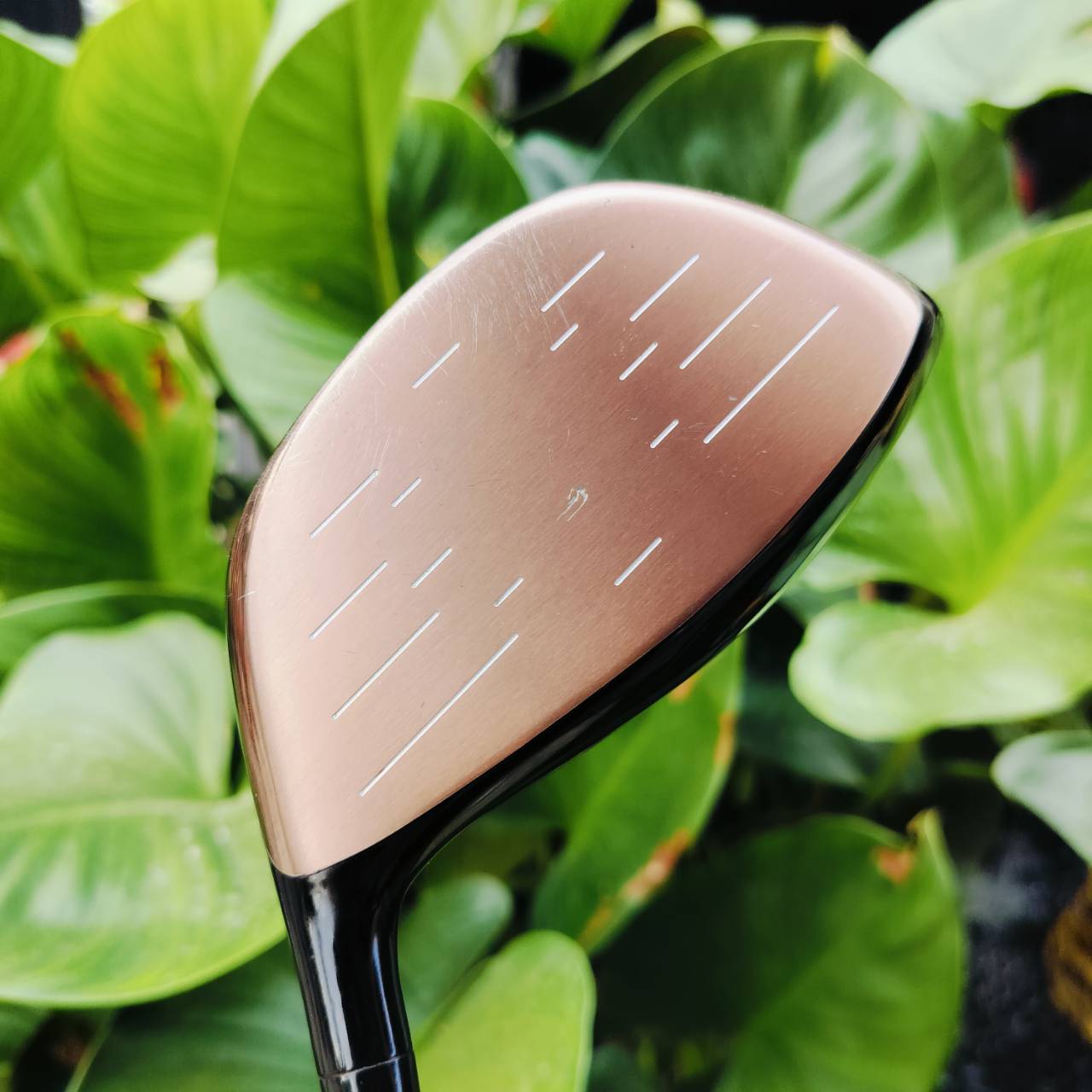 *** ไม้กอล์ฟสำหรับผู้หญิง *** DRIVER SWORD SNIPER WOOD LADY องศา 13.5 ไม้หน้าเด้งพรีเมี่ยมญี่ปุ่นต้นตำหรับ ไม้กอล์ฟพรีเมี่ยมมือสอง ของแท้ By NakaraLuxurious