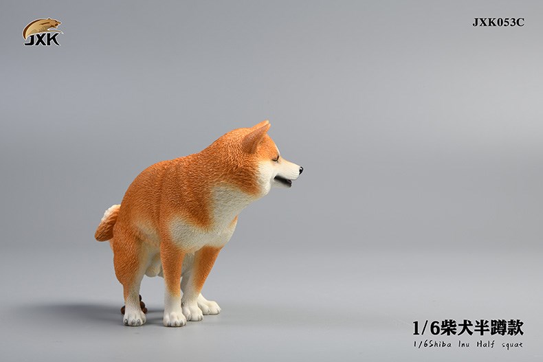 [สั่งจอง]JXK studio 1/6 : Shiba Inu
