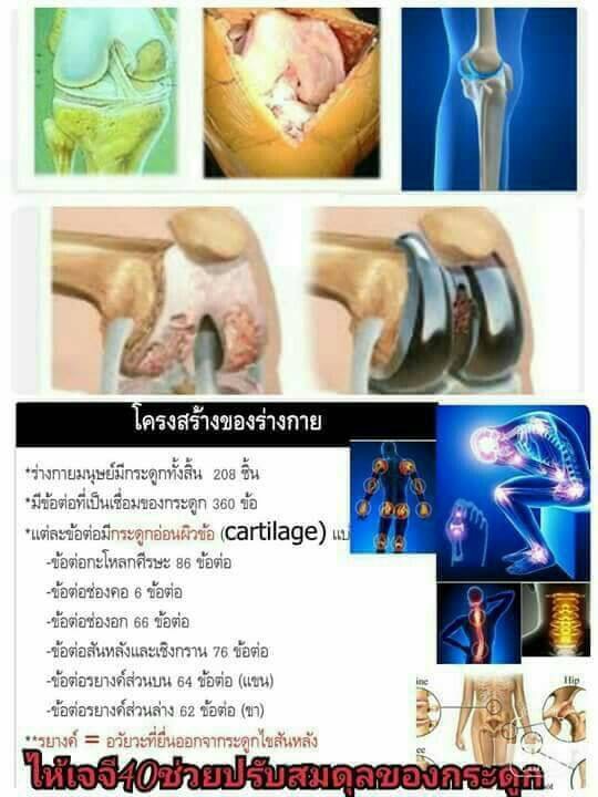 JG-40 อาหารเสริมป้องกันกระดูกและเข่าเสื่อม