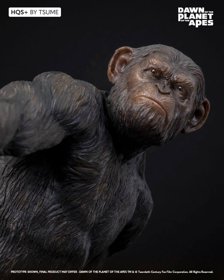 [สั่งจอง] Tsume Art 1/5th HQS+ statue: Ape Not Kill Ape