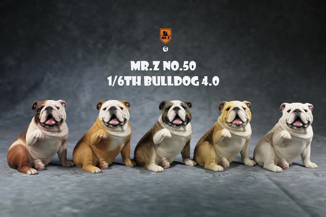 [สั่งจอง]MR.Z Mr.Z050 1/6th Bulldog V4.0 (all 5 colors)