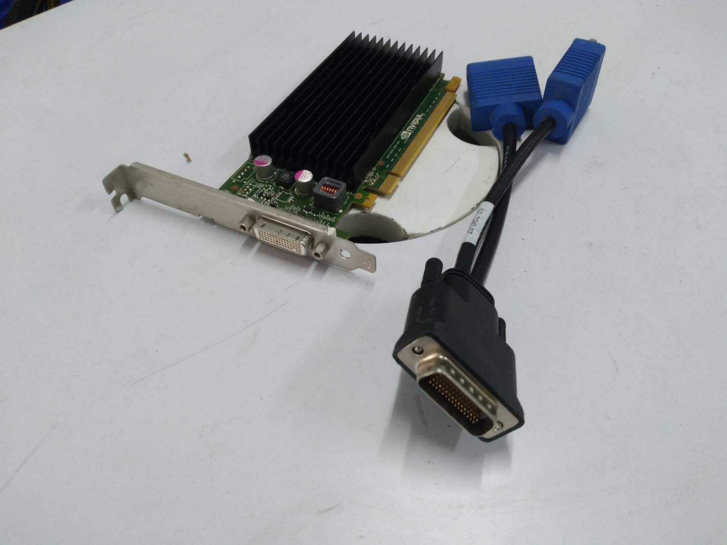 NVIDIA Quadro NVS 300 พร้อมสาย DMS-59 ออกสองจอ ขายาว-ขาสั้น