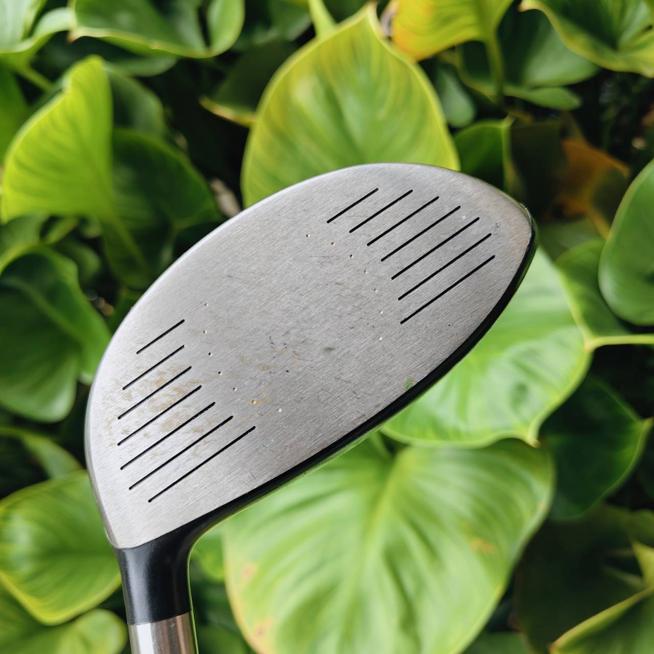 Driver NIKE SQ – ค่า M.O.I. 5900 สูงที่สุด! (Loft 10.5°) ตีตรงเป็นท่อ ตียังไงก็ตรง ตีเลี้ยวไม่ได้